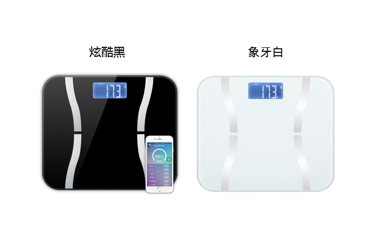 藍牙體脂稱