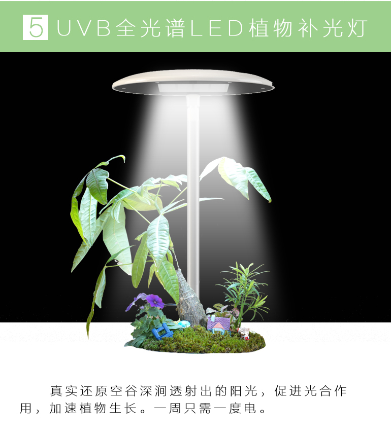 素心智能花盆陶瓷創意爆款個性室內大號防腐永生盆景