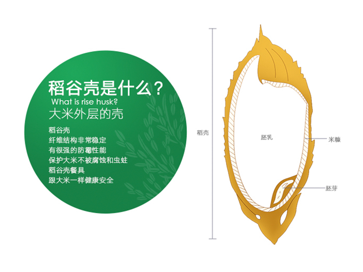 抗菌不發霉好清洗健康環保筷子