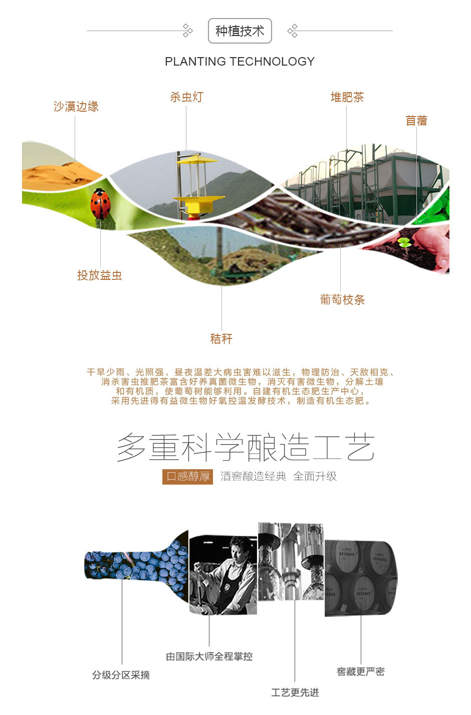 威龍國際酒莊有機葡萄酒·紀念版