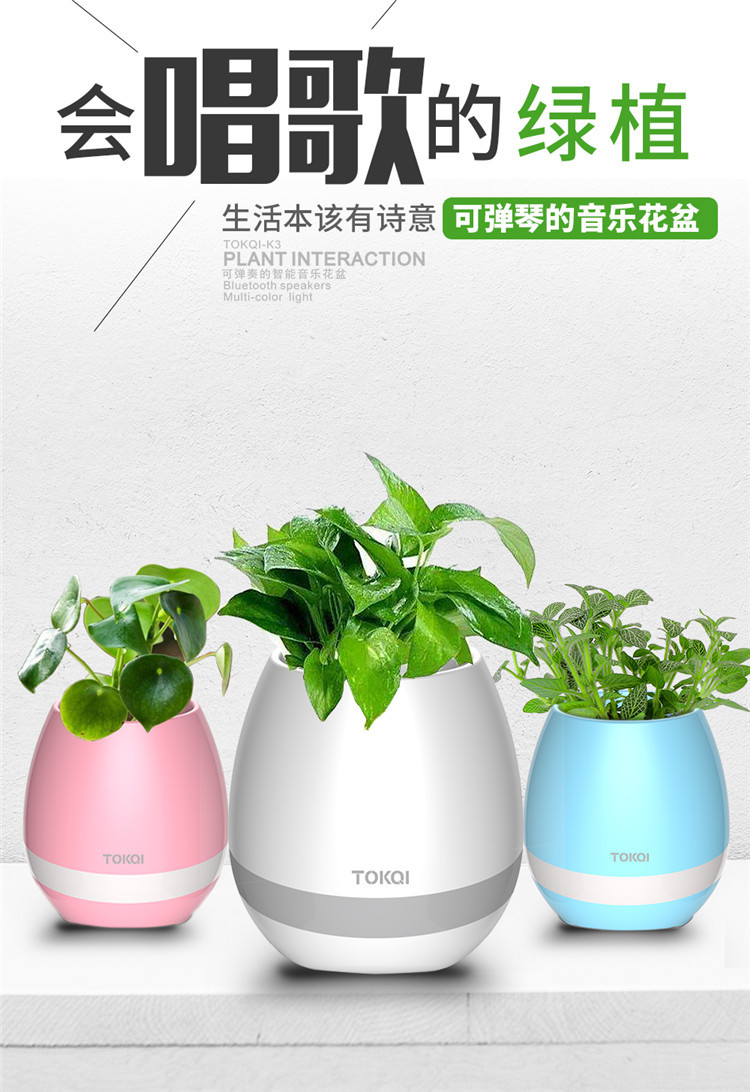 會(huì)唱歌的音樂盆栽