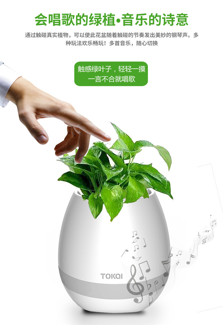 會(huì)唱歌的音樂盆栽