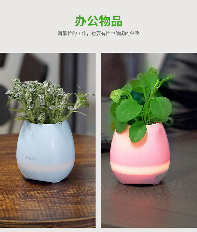 會(huì)唱歌的音樂盆栽